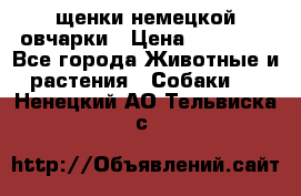 щенки немецкой овчарки › Цена ­ 15 000 - Все города Животные и растения » Собаки   . Ненецкий АО,Тельвиска с.